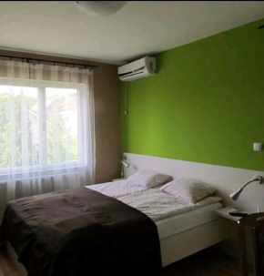 Luksuzni Apartmani Mitić-Mint